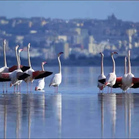 Suite Poetto - 5 Min Form The Beach - Free Park - Wi-Fi - Self Check In - Netflix Quartu SantʼElena Esterno foto
