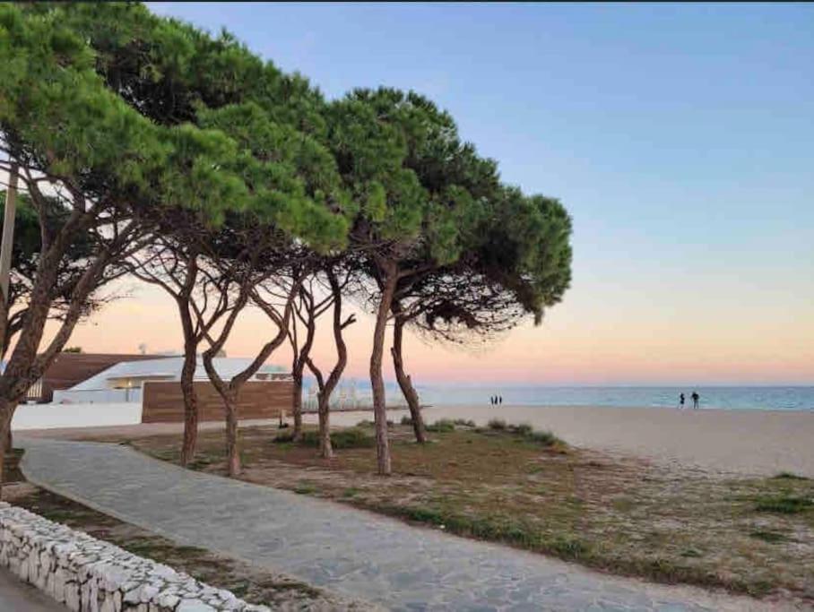 Poetto - 5 Min Form The - Free Park - Wi-fi - Self Check In - Netflix Appartamento